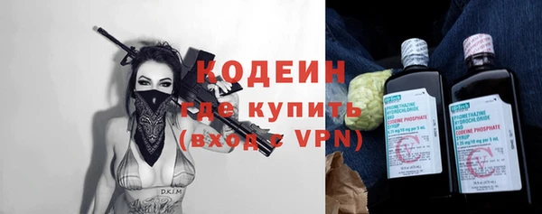 дурь Инта