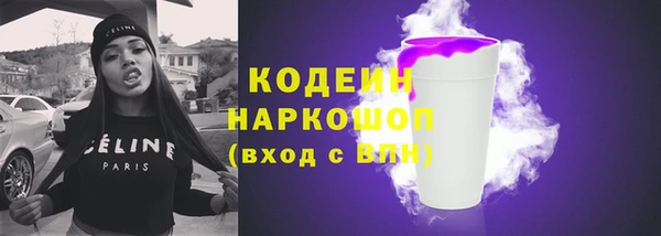 дурь Инта