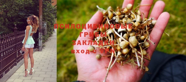 экстази Зеленокумск