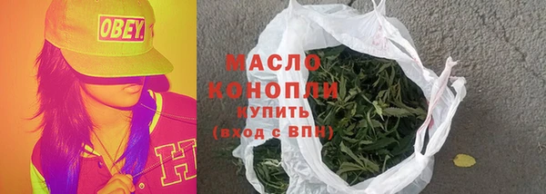 дурь Инта