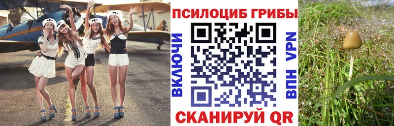 omg зеркало как найти Липки Галлюциногенные грибы Cubensis